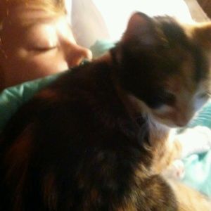 Meet your Posher, Susan